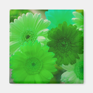 Imán Green Gerbera Daisy Flowers Refrigerator Magnets