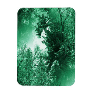 Imán Green invernal...