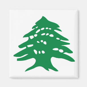 Imán Green Lebanon Cedar Magnet