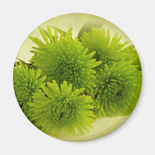 Imán Green Mums