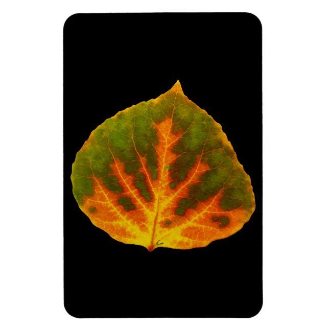 Imán Green Orange & Yellow Aspen Leaf #1 (Vertical)