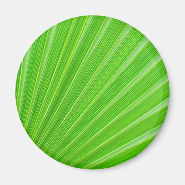 Imán Green palm leaf background (Frente)
