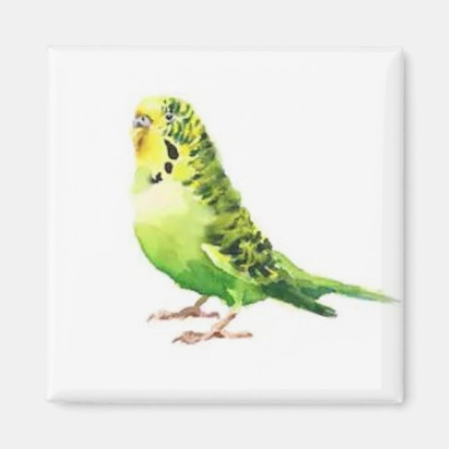 Imán Green Parakeet Magnet (Frente)