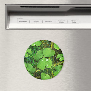 Imán Green Shamrock St Patrick's iPhone 5 Funda-Mate