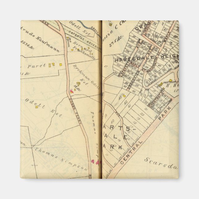 Imán Greenburg, Nueva York 3 (Frente)