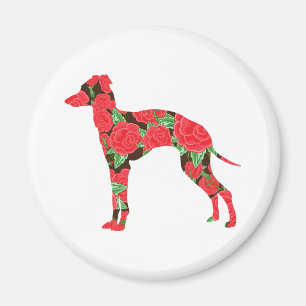 Imán Greyhound italiano