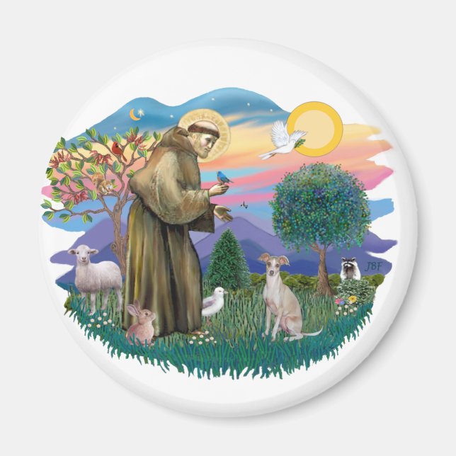 Imán Greyhound italiano (crema) (Frente)