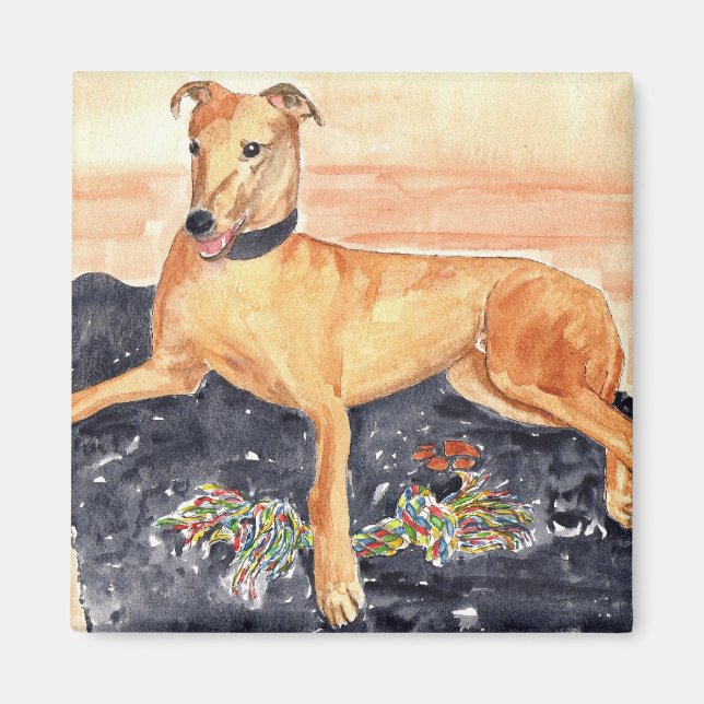 Imán Greyhound Magnet (Frente)