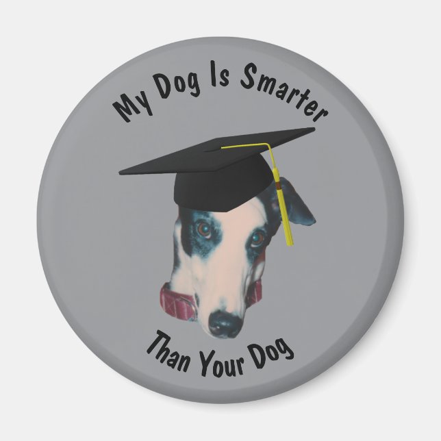 Imán Greyhound My Dog Is Smarter Than Yours Funny (Frente)