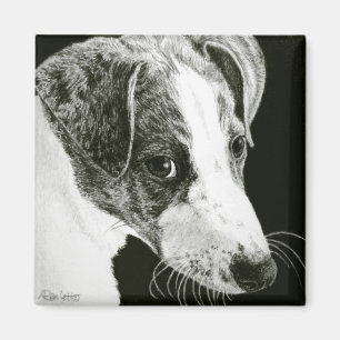 Imán Greyhound Pup Magnet - "Paddy"