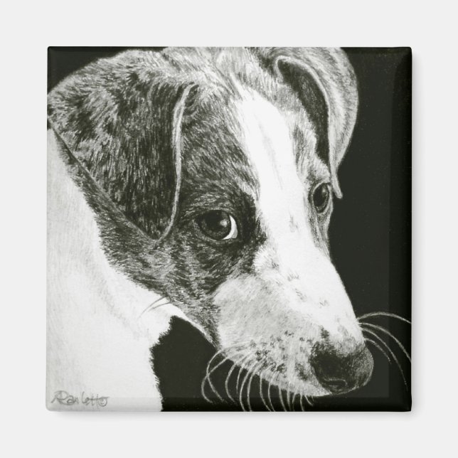 Imán Greyhound Pup Magnet - "Paddy" (Frente)