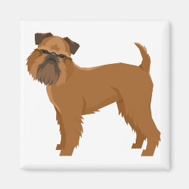 Imán Griffon Bruxellois