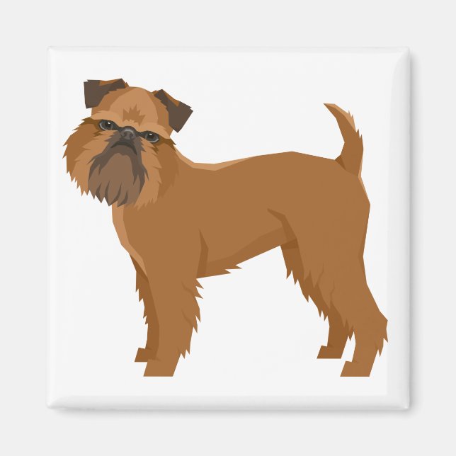 Imán Griffon Bruxellois (Frente)