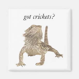 Imán Grillos conseguidos