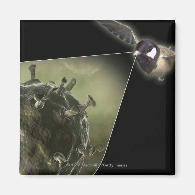 Imán Gripe aviar saliendo de aves (Frente)