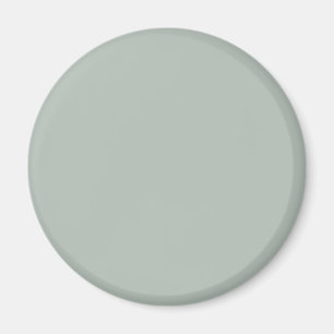 Imán gris ceniza (color sólido)