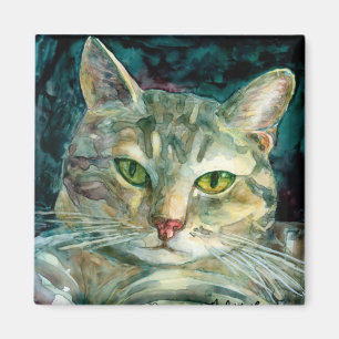 Imán gris del Tabby