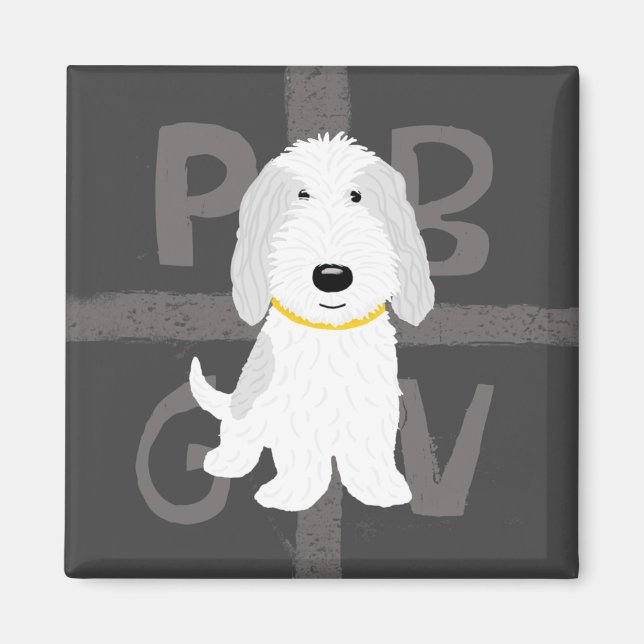 Imán Gris y Blanco PBGV (Frente)