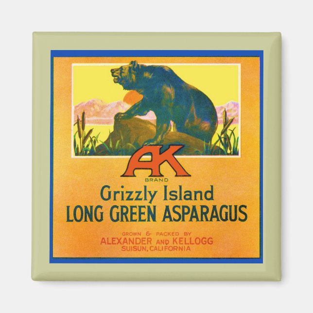Imán Grizzly Bear (Frente)