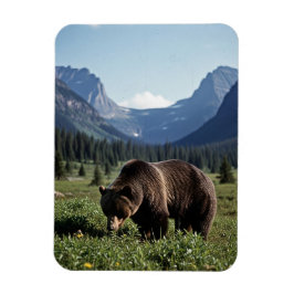 Imán Grizzly Bear in Glacier National Park Travel