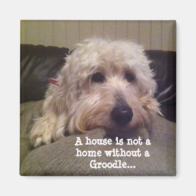 Imán Groodle imnet (Frente)