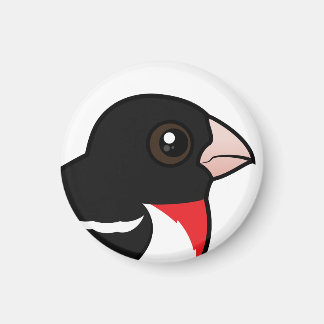 Imán Grosbeak de pecho Rosa
