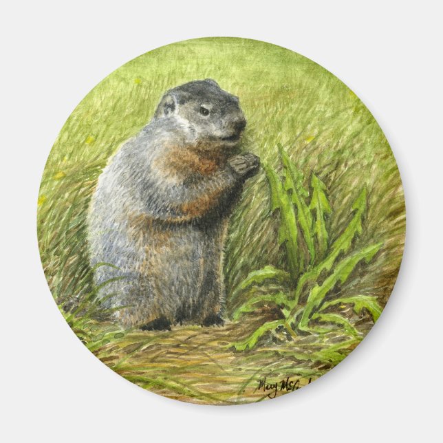 Imán Groundhog Magnet (Frente)