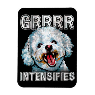 Imán Grrr gracioso intensifica meme de bichon frise Dog