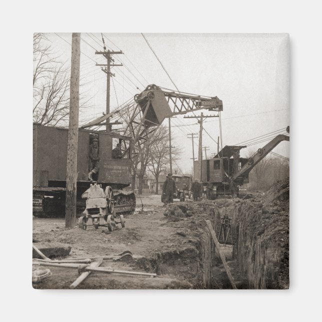 Imán Grulla del Noroeste temprano foto de la concha de  (Frente)