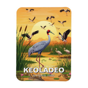 Imán Grulla en el Parque Nacional Keoladeo India Viajes