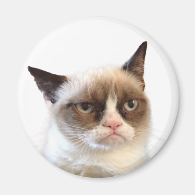 Imán Grumpy Cat Round Magnet (Frente)