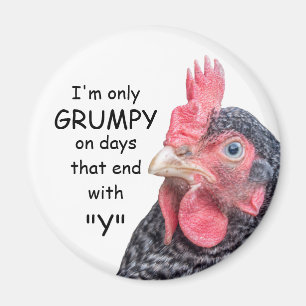 Imán Grumpy Chicken Funny Frowing Hen Photo