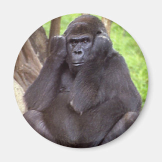 Imán Grumpy Gorilla