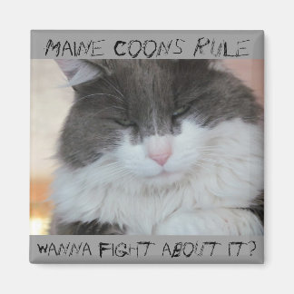 Imán Grumpy Maine Coon Cat