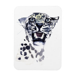 Imán Gruñido de la incisivo