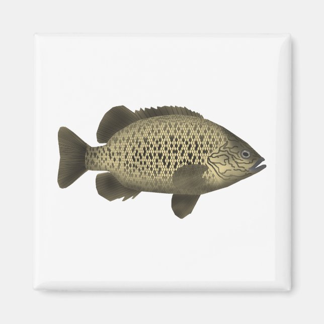 Imán Grunter de carbón (Frente)