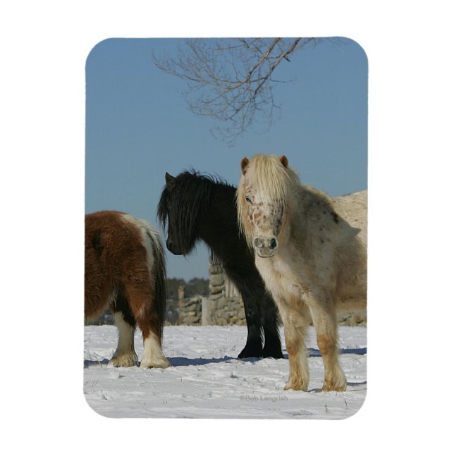 Imán Grupo de caballos en miniatura en la nieve (Vertical)