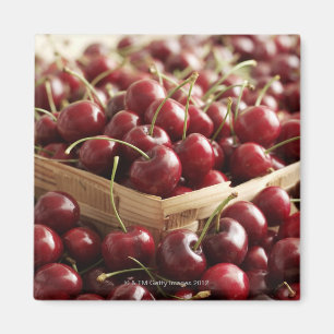 Imán Grupo de cerezas en punnett