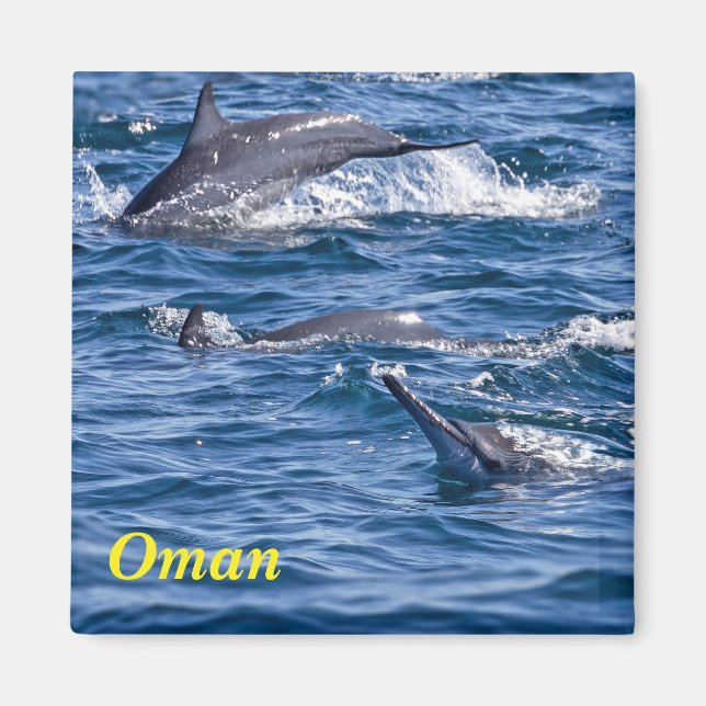 Imán Grupo de delfines en botella - Omán (Frente)