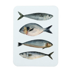 Imán Grupo de los Cuatro Peces