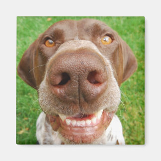Imán GSP Smile Magnet