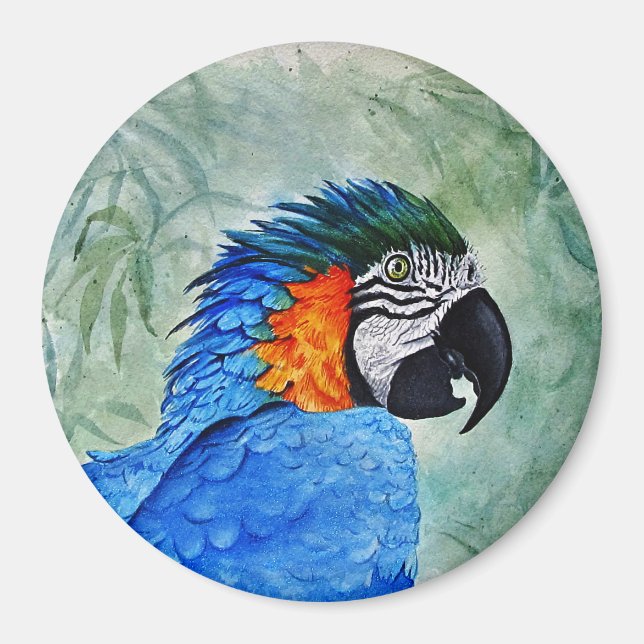 Imán Guacamayo azul y dorado (Frente)