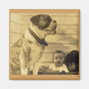Imán Guarda el pitbull en los años 20