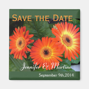 Imán Guarda la fecha, flores de margarita gerbera