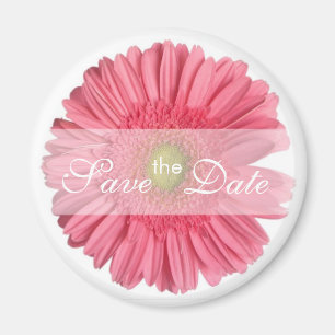 Imán Guardar la fecha