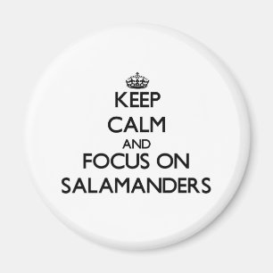 Imán Guarde la calma y el foco en Salamanders