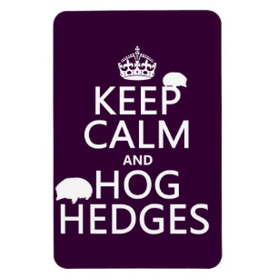 Imán Guarde la calma y Hog los setos (erizos) (todos