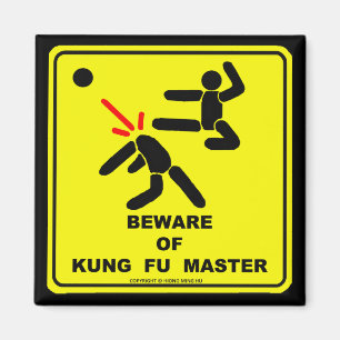 IMÁN GUÁRDESE DE AMO DE KUNG FU