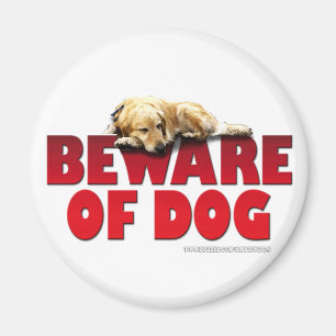 Imán Guárdese de perro…
