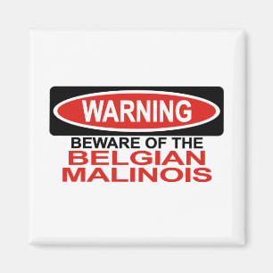 Imán Guárdese del belga Malinois